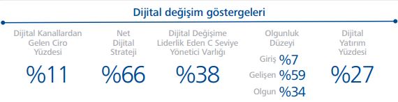 dijital_degisim_gostergeleri_2016